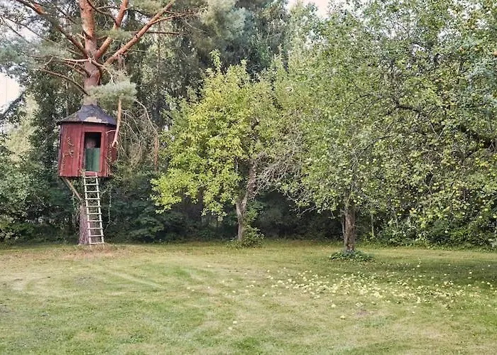 Comfortable Home, Pool, Sauna, Jacuzzi Sasino